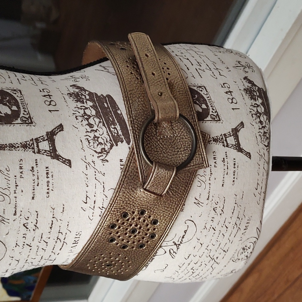 Leather Y2K The Limited Gold & Bronze/ Black Thick Retro Belt Statement Belt